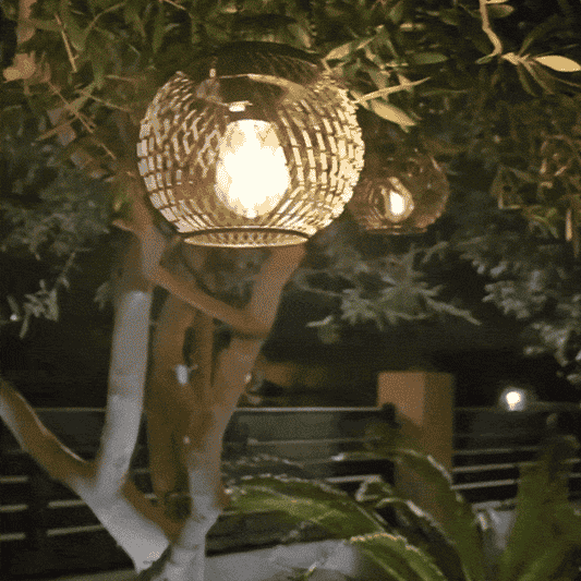 Elegantes luces solares para árboles de jardín